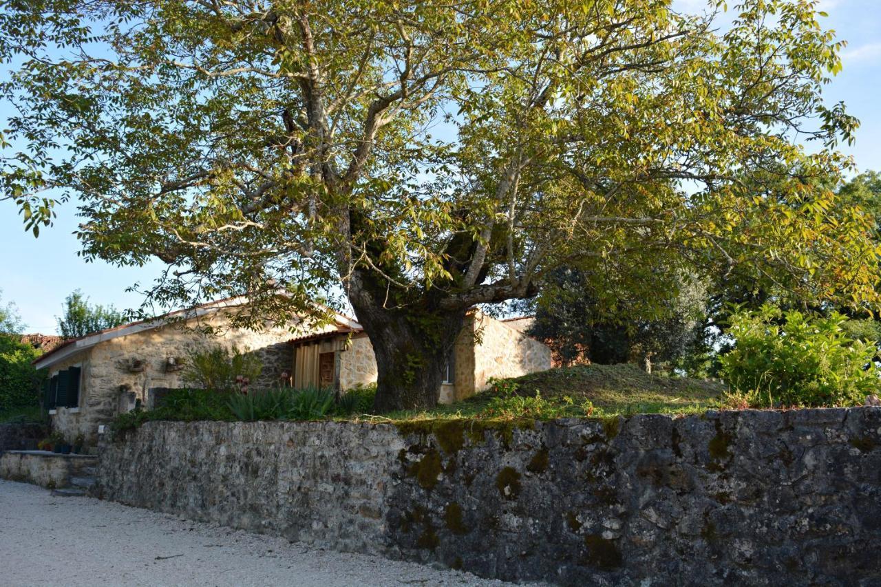 Casa Da Pedra Villa Ancião Luaran gambar