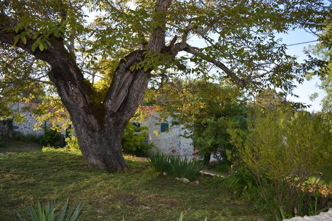 Casa Da Pedra Villa Ancião Luaran gambar
